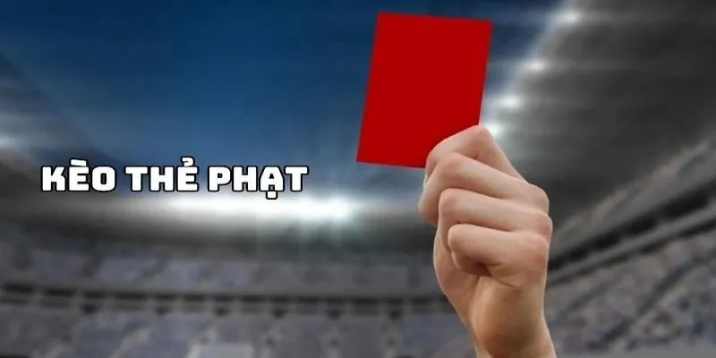 Bí kíp soi kèo từ chuyên gia